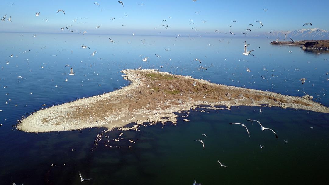 Türkiye nin en önemli su kaynakları: Hepsi riskte! 1
