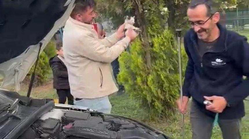 Otomobilin motoruna sıkışan yavru kedi kurtarıldı