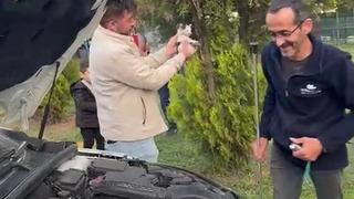 Otomobilin motoruna sıkışan yavru kedi kurtarıldı
