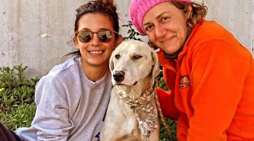Depremde kurtarılan köpek, Datça'daki yeni hayatına devam ediyor