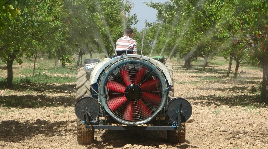 Malatya'da yeniden yeşeren kayısı ağa&ccedil;ları &ccedil;ift&ccedil;ileri umutlandırdı