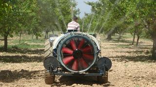 Malatya'da yeniden yeşeren kayısı ağaçları çiftçileri umutlandırdı