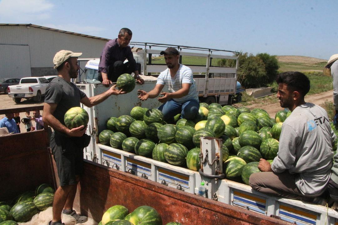 ADANA’DA-SEZONUN-ILK-KARPUZ-HASADI-BASLA_719377_212734