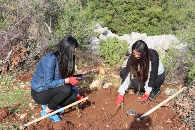 Erdemli’de yanan orman alanına 500 fidan dikildi