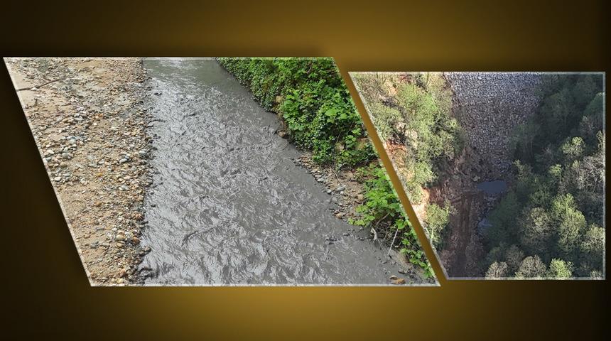 AK Partili vekilin şirketine isyan! Göz göre göre katliam gerçekleştiriliyor: 'Ticari sır' denilerek üstü kapatılıyor...