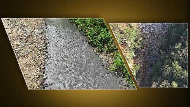 AK Partili vekilin şirketine isyan! Göz göre göre katliam gerçekleştiriliyor: 'Ticari sır' denilerek üstü kapatılıyor...