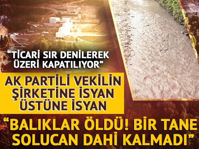 AK Partili vekilin şirketine isyan! Göz göre göre katliam gerçekleştiriliyor: 'Ticari sır' denilerek üstü kapatılıyor...