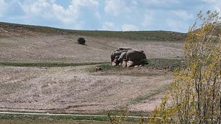 'Sırrı hala çözülemedi' Bozkırın ortasında esrarengiz görüntü! Tüm mahalle o gelişmeye kilitlendi