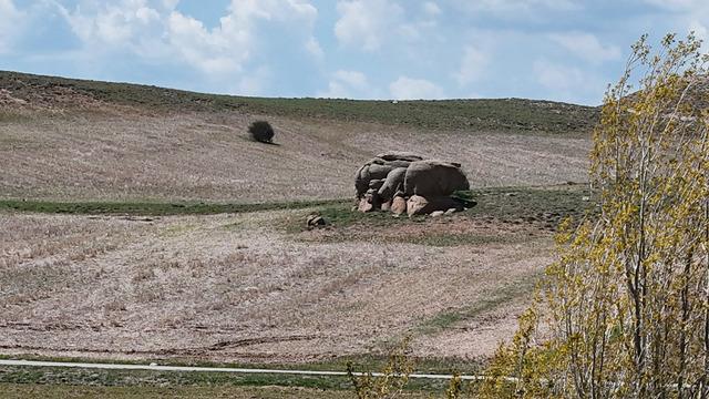 'Sırrı hala çözülemedi' Bozkırın ortasında esrarengiz görüntü! Tüm mahalle o gelişmeye kilitlendi