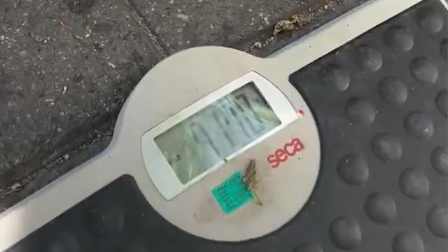 Eşini bakanlığa ihbar etti! Kontrole yakalandı sağlıklı çıktı: O soruya verdiği cevap viral oldu...