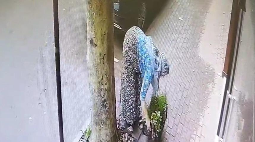 Bir kasa çiçeği böyle götürdü