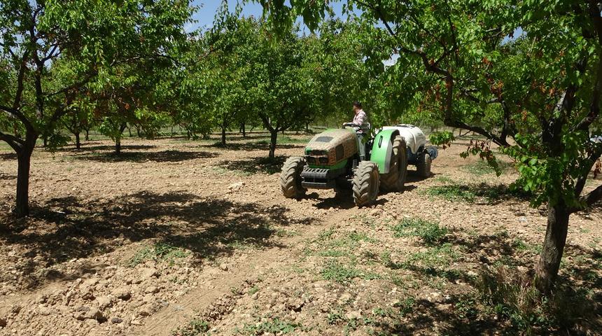 Malatya'da yeniden yeşeren kayısı ağaçları çiftçileri umutlandırdı