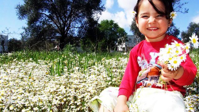 İkinci cemre suya düştü; Bodrum'da kırlar çiçeklendi