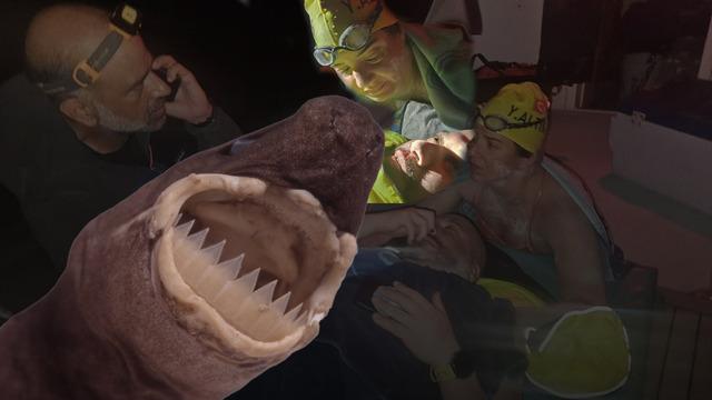 İki Türk yüzücü saldırıya uğradı! Önce ahtapot sonra köpek balığı: 7 santime kadar oyuk açabiliyor...