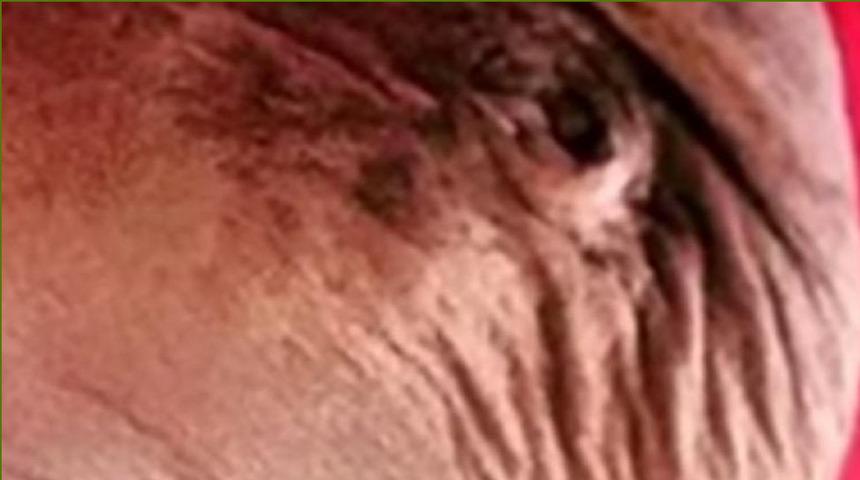 Maraton koşucusunun doğum sonrası fotoğrafları şaşırttı