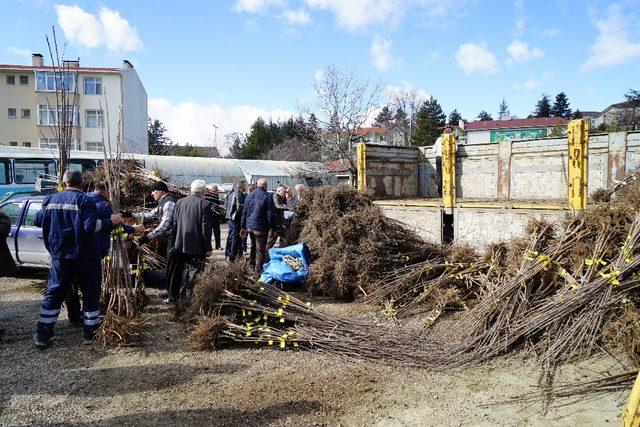 Kastamonu’da çiftçilere 18 bin adet fidan dağıtıldı