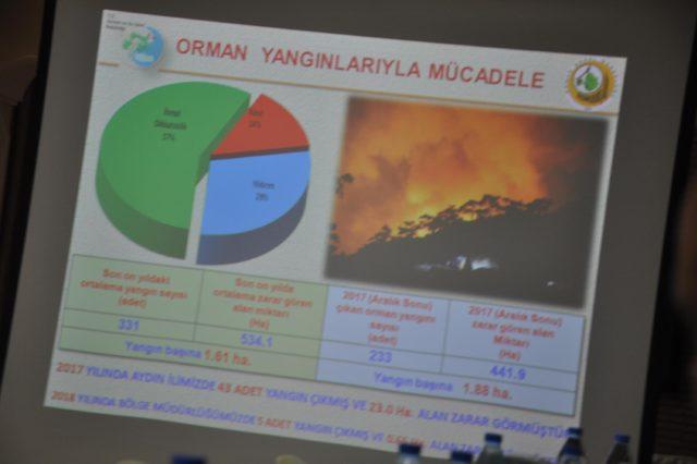 Aydın ve Muğla'da geçen yıl 442 hektarlık orman yandı