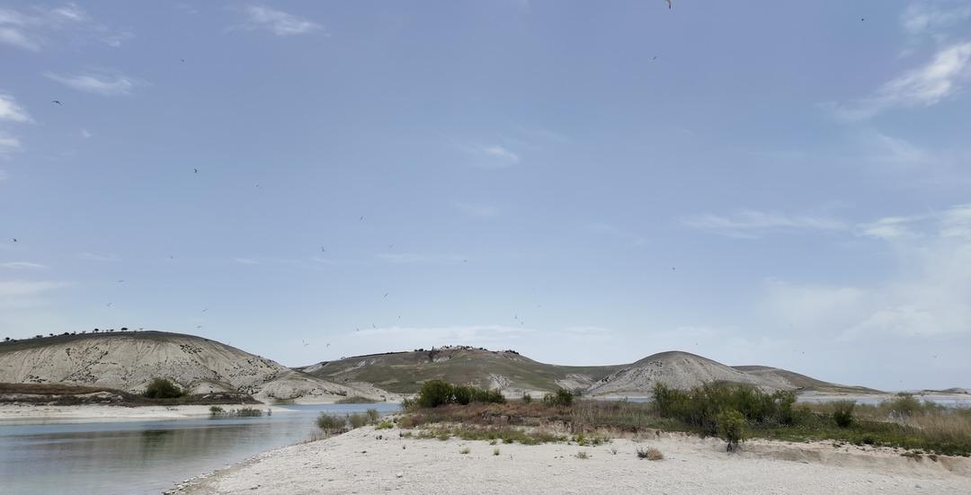 Yöre halkı bölgeyi onlara bıraktı! Nisan da gelip Temmuz da gidiyorlar... 3