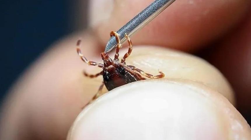 Sivas'ta KKKA alarmı: 6 kişinin tedavisi sürüyor!