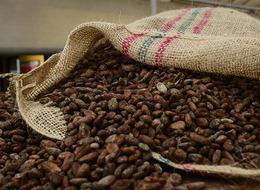 Emtia piyasasında kakao rallisi kendini göstermeye başladı! 'Kakao fiyatlarında yeni zirveler görülebilir'