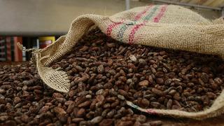 Emtia piyasasında kakao rallisi kendini göstermeye başladı! 'Kakao fiyatlarında yeni zirveler görülebilir'