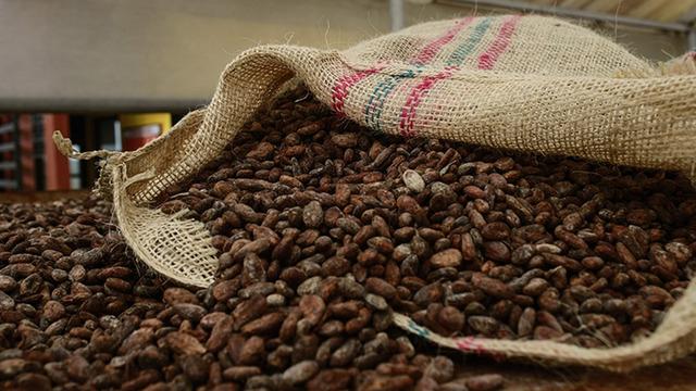 Emtia piyasasında kakao rallisi kendini göstermeye başladı! 'Kakao fiyatlarında yeni zirveler görülebilir'