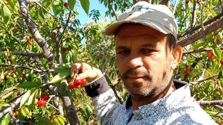 Az verim, don zararı moral bozmuştu! Fiyatı yüzlerini güldürdü