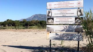 Bu sahillere gece girişin cezası 557 bin 212 TL! Adım atan yandı...