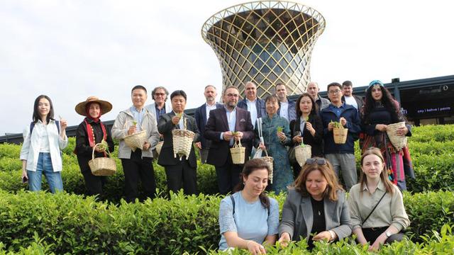Çin’den gelen akademisyenler Rize’de çay topladı