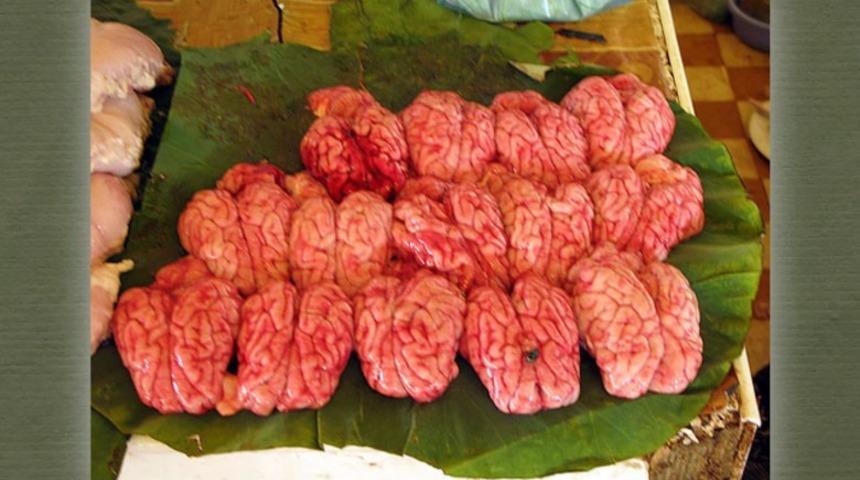 ‘Olmaz olsun’ dedirten gelenek: Canlı maymun beyni yemek