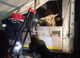 Türkiye’nin dört bir yanından yola çıktılar, İstanbul'a girişler başladı... Kurban Bayramı hareketliliği