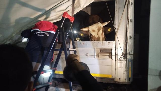 Türkiye’nin dört bir yanından yola çıktılar, İstanbul'a girişler başladı... Kurban Bayramı hareketliliği