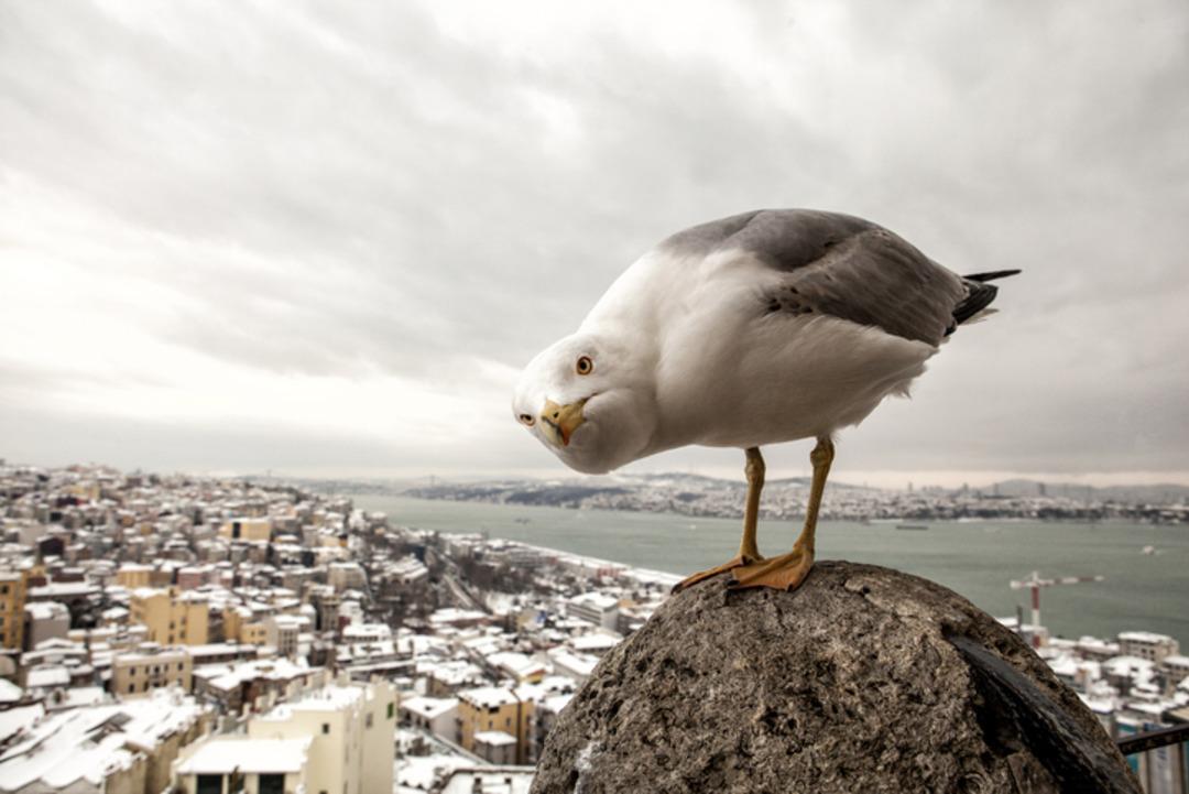 iStock-469327780