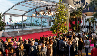 Cannes Film Festivali'ndeki martı problemi bakın nasıl çözülmüş!
