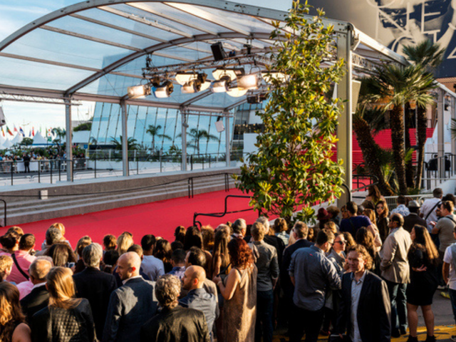 Cannes Film Festivali'ndeki martı problemi bakın nasıl çözülmüş!