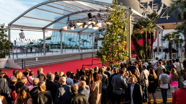 Herkes şikayetçiydi! Cannes Film Festivali'ndeki martı problemini bakın nasıl çözmüşler! 