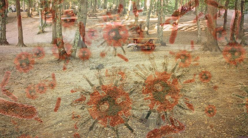 Havalar ısınınca tehlike yine ortaya çıktı! 5 ilde ölümcül alarm... "Tamamen yok edilmesi mümkün değil"