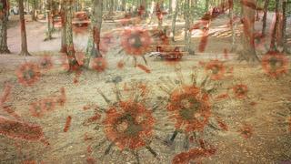 Havalar ısınınca tehlike yine ortaya çıktı! 5 ilde ölümcül alarm... Tamamen yok edilmesi mümkün değil