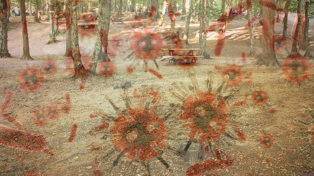 Havalar ısınınca tehlike yine ortaya çıktı! 5 ilde ölümcül alarm... Tamamen yok edilmesi mümkün değil