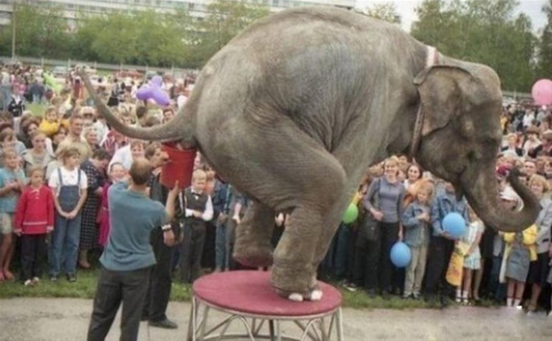 D&uuml;nyanın en zor işi