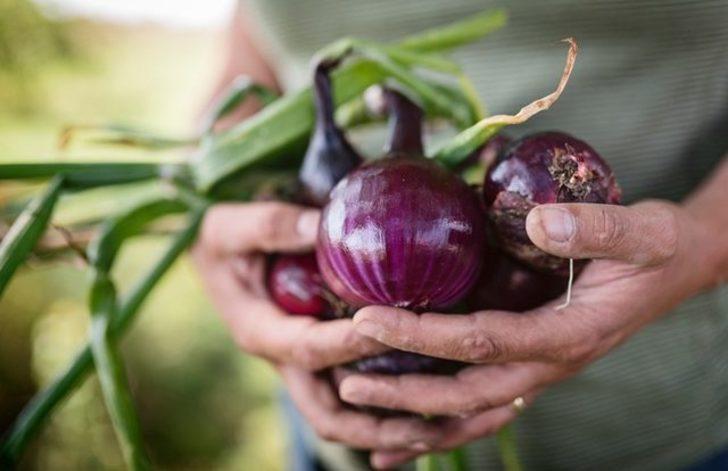Soğanın şifa gücü: Sağlık ve güzellik faydaları G4