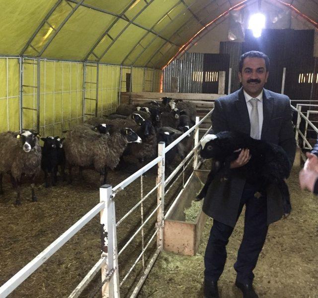 VANTB Başkan adayı Tandoğan’ın ilçe ziyaretleri