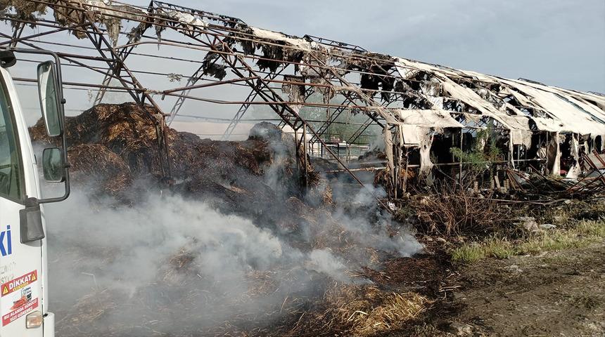 Edremit'te çiftlik yangını! İtfaiye ekiplerinin müdahelesiyle söndürüldü