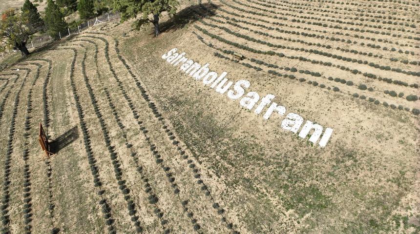 Safranbolu'nun mirası: Safran... İlçeye dev yatırım! "Amacımız safranı uluslararası pazarda tanıtmak"
