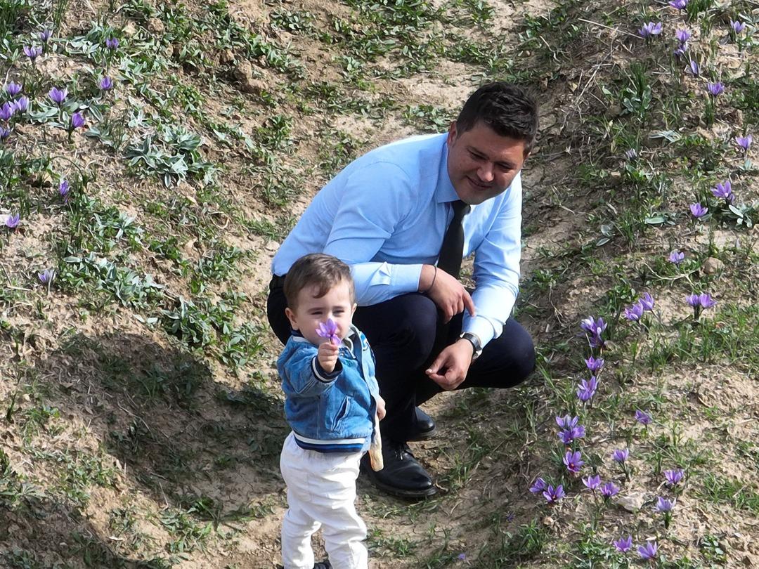 Safranbolu nun mirası: Safran... İlçeye dev yatırım! "Amacımız safranı uluslararası pazarda tanıtmak" 2