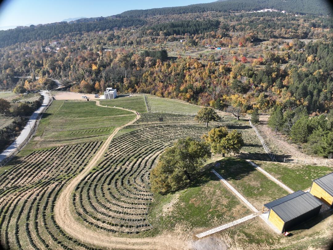 Safranbolu nun mirası: Safran... İlçeye dev yatırım! "Amacımız safranı uluslararası pazarda tanıtmak" 4