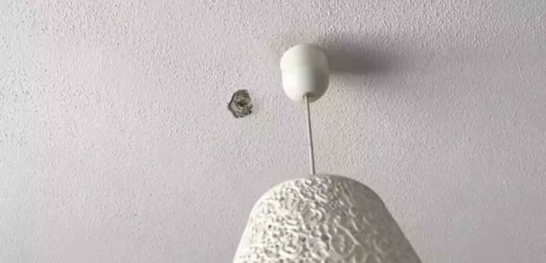 Bursa da şoke eden olay! Aynı apartmanda oturan kardeşi hiltiyle evinin tavanını deldi 1