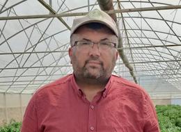 Ege'de en çok o tercih ediliyor! 'Gevrek ve lezzetli' Kilosu 250 TL... Kışlık olarak da kullanılıyor