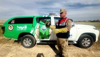 Şanlıurfa'da yaralı bulunan kızıl şahin tedavi altına alındı