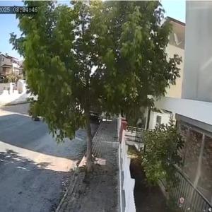 Sokakta yatan köpeği ezip yoluna devam etti! O anlar kamerada